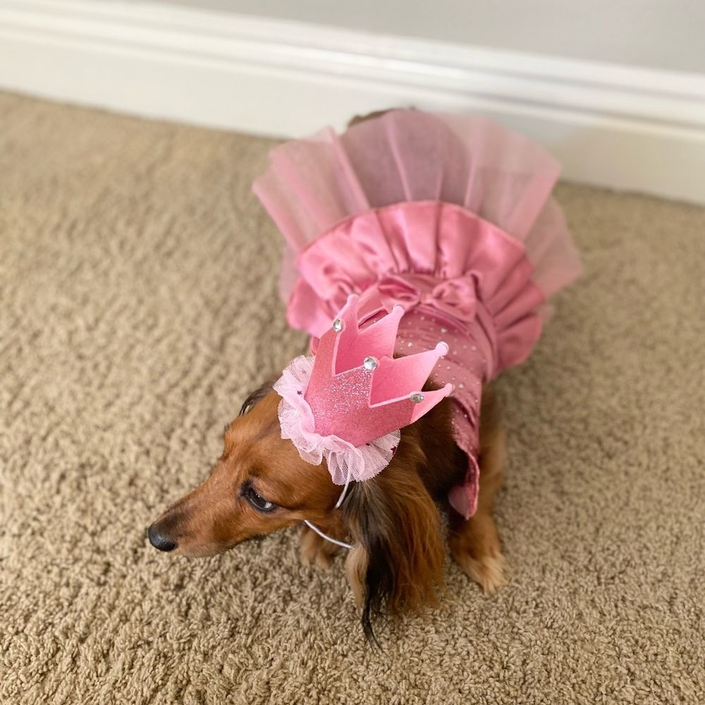 Pink Dress 💕 - Picture 5 of 6